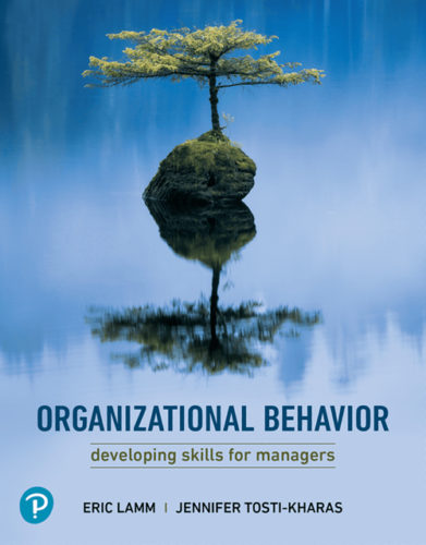 Organizational Behavior: Developing Skills for Managers