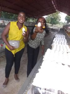 Two women holding eggs at a poultry farm in Haiti
