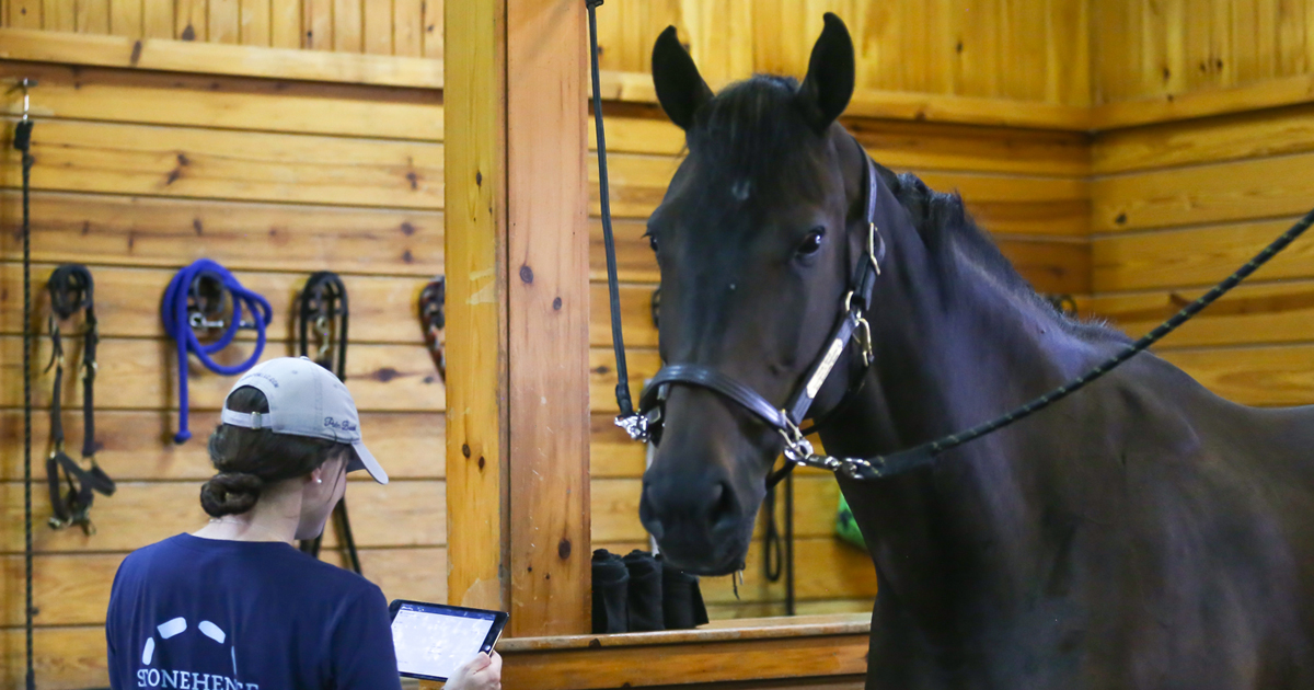 New Technology Races Equine Industry into the Future