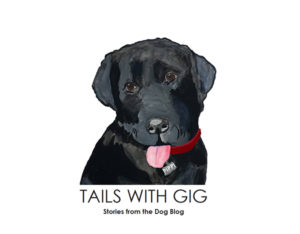 The cover of the book Tails with Gig: Stories from the Dog Blog
