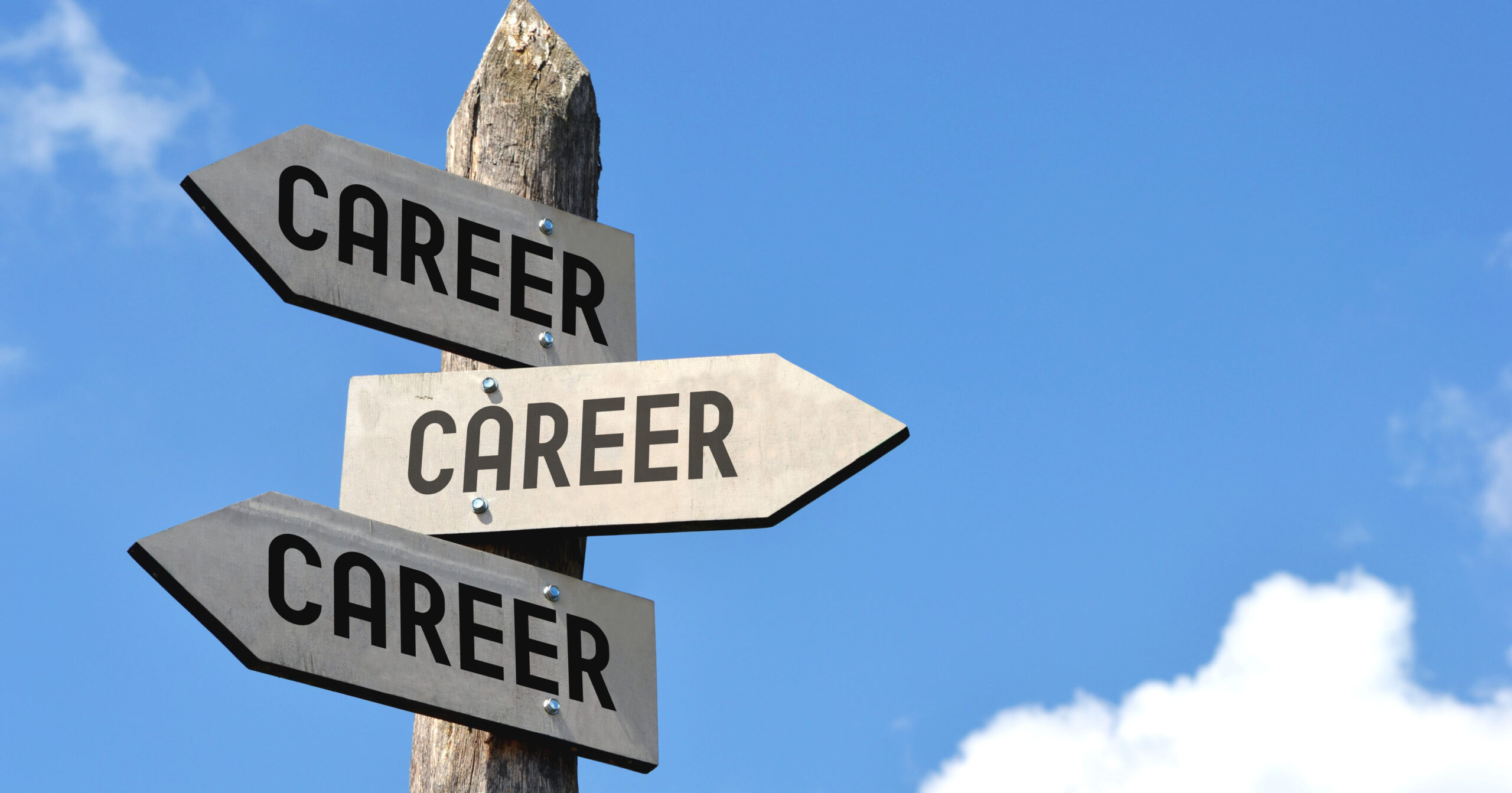 Several signs with the word career on them are pointing in different directions.