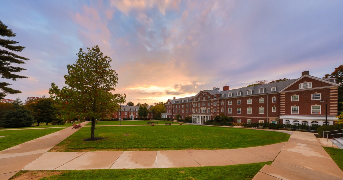 In the 2024–2025 academic year, 14 new faculty members bring their expertise to Babson’s classrooms. (Photo credit: Nicolaus Czarnecki)