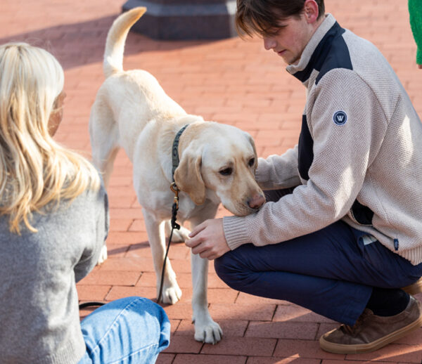 Community resource dog sniffs student