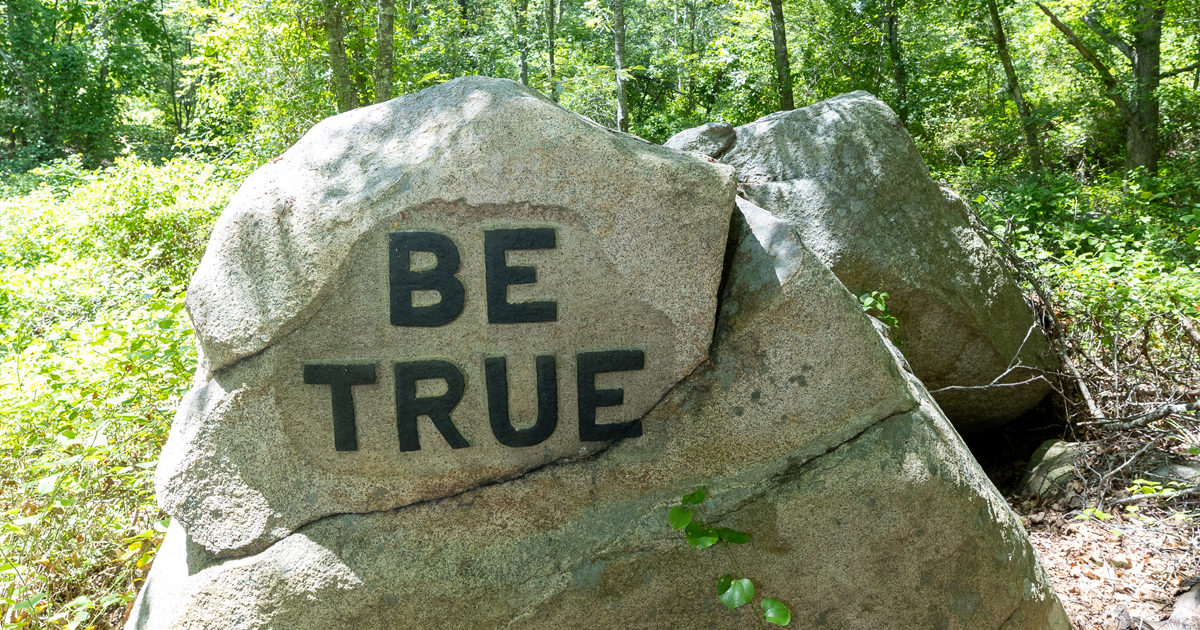 Close-up photo of the Be True boulder in the foresrt