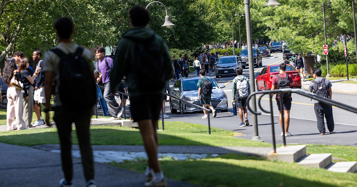 Students walk on Babson's sunny campus.