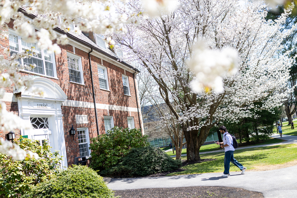 A student walks on campus on a bright, sunny day